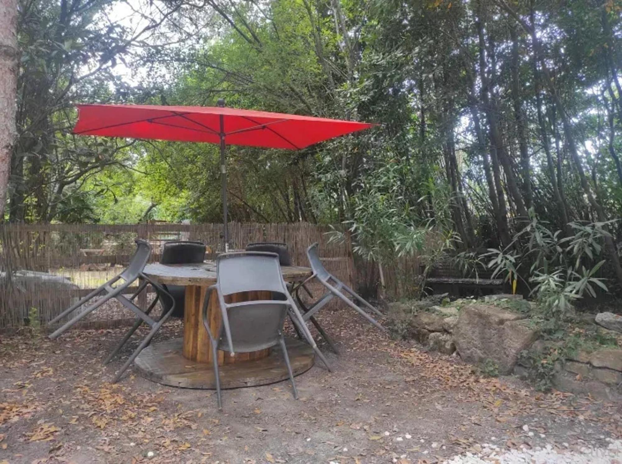 Studio Charmant Dans Un Ancien Moulin Pres D'Orange 30 M² Piscine Dış mekan fotoğraf